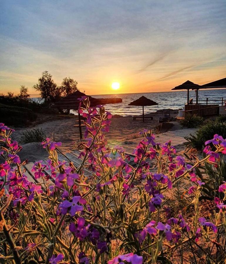 Gallipoli Mancaversa Futura Vacanza Andrea 마리나디만카베르사 외부 사진